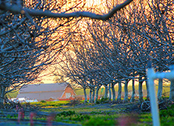 担保交易无忧的免费ddos在线攻击测试网站